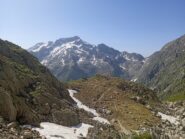 Il Monte Gelas (m.3143) dal Colle di Fenestrelle 