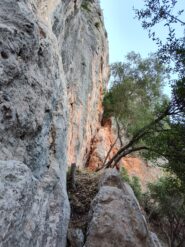 parte dx della falesia