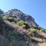 La falesia vista da dove inizia la vegetazione impenetrabile