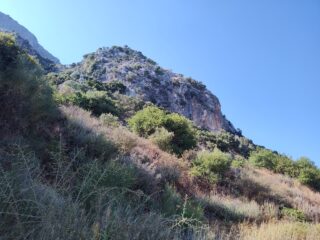 La falesia vista da dove inizia la vegetazione impenetrabile