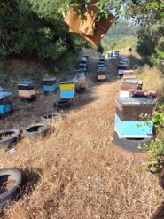 Meglio non sbagliare strada...