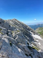 La parte sommitale del Mongioie