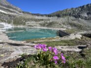 Il lago di Camposecco