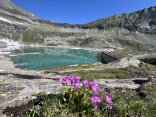 Il lago di Camposecco