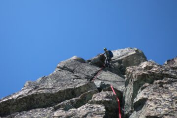 Placca fessurata, magnifique