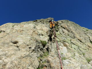 Placche sul cappello frigio