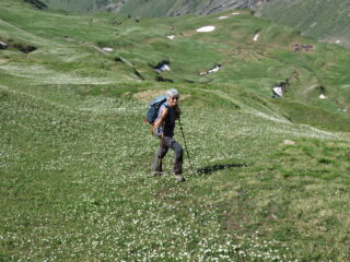 verso il laghetto, per prati fioriti
