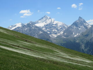 Grivola e Gran Nomenon con prati fioriti, in discesa dalla P.te de la Pierre