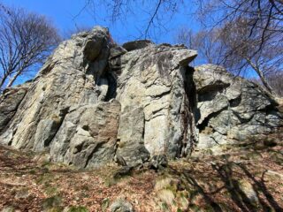 Il settore Cobra in tutto il suo splendore