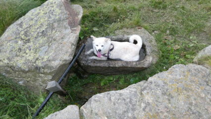 ..fatta su misura...