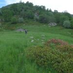 La nostra meta, ancora visibile, prima delle nuvole