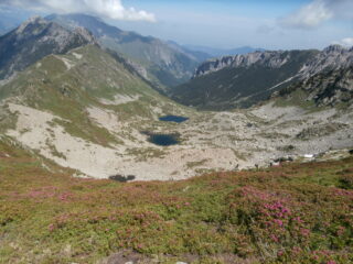 laghi Frisson in salute