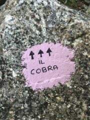 Indicazioni puntuali