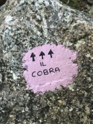 Indicazioni puntuali