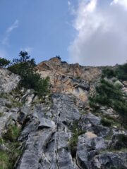 Primo tiro di corda