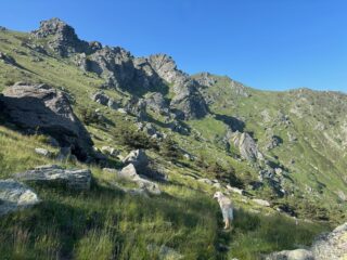 L'ambiente Scalancie