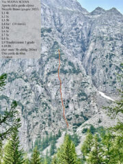 (per gentile concessione GA Niccolò Bruni)