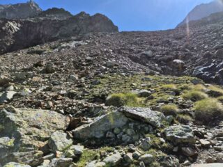 inizio della pietraia