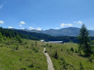 L'alpeggio di Chamolè