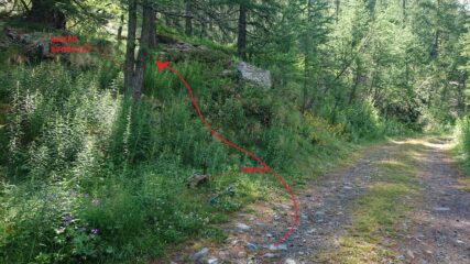 Il punto in cui inizia l'antico sentiero