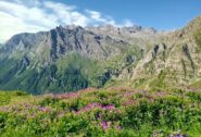 le cime dell'Alta Valle Varaita ,in primo piano la Tour Real 