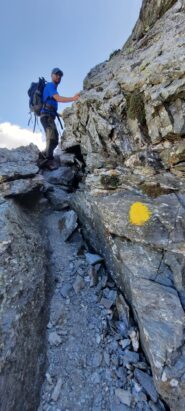 segni gialli da seguire