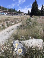 Dopo l'incrocio con il sentiero che porta all'Alpe Metsan.