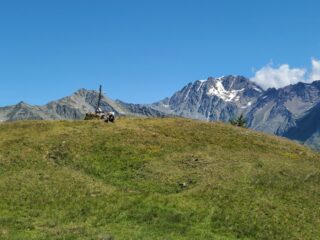 la cima, con sfondo P.ta di Barasson e Mont Velan