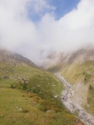 Oggi