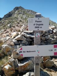 la cima Orgials dal Passo 