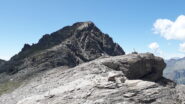 dal piccolo Rothorn, dietro il grande appena scalato, per la cresta alla sx quella a dx e' la normale di salita e discesa..