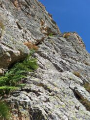 Fessurone direttiva della via