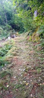 Ben pulito il 306 fino al guado