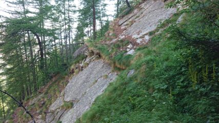 Tratti del vecchio sentiero