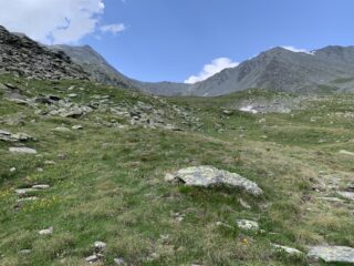 Colle Moline al centro 