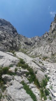 Canale del serpente