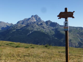 In vetta al Cugn de Goria