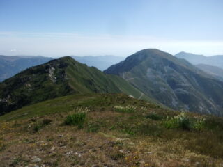 Verso il Lubin ed il Rastcias