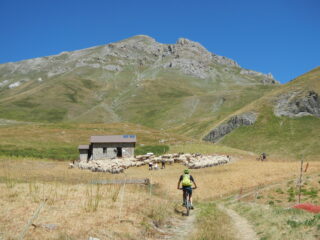 passaggio al Gias Vallonetto