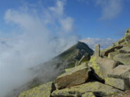 Tratto nella pietraia