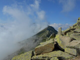 Tratto nella pietraia