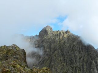 Apparizione dell'Oriol