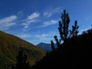 Il bello del mattino