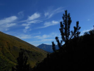 Il bello del mattino