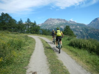 in prossimità dell'Alpe Arguel