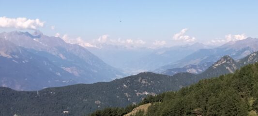 Vista su Valle Centrale, Aosta e a dx Monte Bianco appena fuori dal bosco 