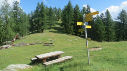 colle del M. Blanc