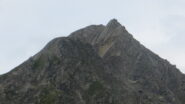 Testa d'Arp