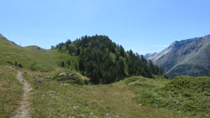 P. Vadaille