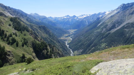 valle di Cogne
